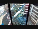 戦場の絆Ⅱ　メサなんとか367