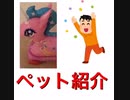 俺の飼ってるペット、ユニコーンを紹介したる