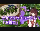 【思い切って野草を食べてみよう】#61 オオアラセイトウさんで「お寿司」！