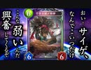 【新弾朗報】〝千箔百面ノ邪神〟が世界一活躍する動画。ヤテラントゥ型消滅ビショップ【 Shadowverse シャドウバース 】