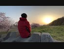 2022年03月25日1枠目　桜並木がバァー！と咲いているらしい