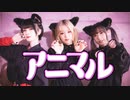 【即決の女たち】アニマル【踊ってみた】