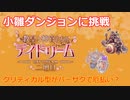 〈RO〉臆病者のRKの日常　～クリティカルの厄払～　小雛ダンジョンにチャレンジ
