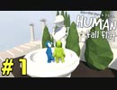 【実況】Human Fall Flat 二人でやります！＃１