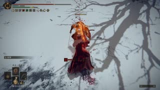 鉄の鉈を振り回す聖女