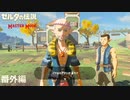 誰よりも目立とうとすな【ゼルダの伝説 ブレスオブザワイルド マスターモード】#番外編