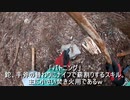 （ナイフのスキルの一つ的な？ｗ）ナイフで薪割り「バトニング」について