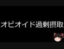 【ゆっくり朗読】ゆっくりさんと不思議な病気 その492