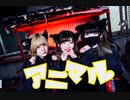 【かなまめゆん】アニマル【踊ってみた】