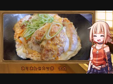 OИEのテキトーおうちご飯　＃10「ありあわせカツ丼」