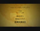 ボス戦のみ【初見：ソルトアンドサンクチュアリ】#9