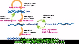 悲報 ファイザー製ワクチンによる逆転写が証明されてしまう