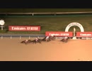 2022 Dubai World Cup Country Grammer