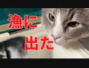 【猫】愛するノルウェージャンの子猫のために漁に出てサバ釣ってきた【ユル日記】