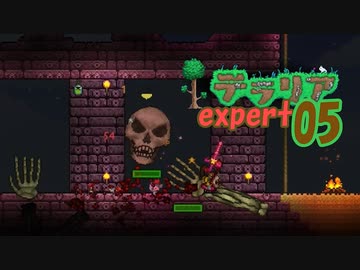 【ゲーム実況】アップデートされたテラリアを上級モードで遊ぶ 05【テラリア】