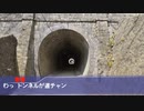 碓氷峠鉄道文化むらとアプトの道に行ったアイドルPart2