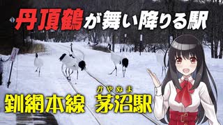 【タンチョウが舞い降りる駅】標茶町 JR釧網本線 茅沼駅【北海道の鉄道】【神回】 Railway in Hokkaido