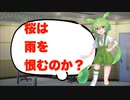 【ずんだ神】桜は雨を恨むのか？【ずんだもん】