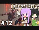 【ELDEN LING】脳筋＆初期体力 Part12【ソフトウェアトーク】