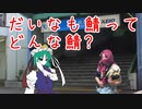【鯖紹介動画】だいなも鯖ってどんな鯖？