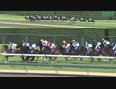 【丸田騎手G1初制覇！3連単278万】第52回高松宮記念　ナランフラグ