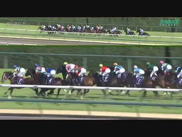 【丸田騎手G1初制覇！3連単278万】第52回高松宮記念　ナランフラグ