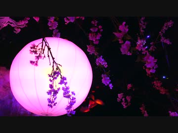 【オリジナル】さくら見月【和風ピアノ】