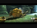 【初実況】MHXX part7
