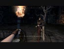 【初見】ＳｋｙｒｉｍＳＥ字幕プレイ　ドーンガード１４