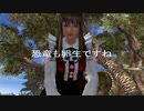 器の液体が石より堅い