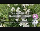 ちょっとお出かけ 8 福山市内海町｜海辺の花園　水仙の里【めたん】