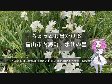 ちょっとお出かけ 8 福山市内海町｜海辺の花園　水仙の里【めたん】