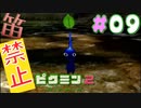 【笛禁止！】笛を吹くことができない主人公の冒険【ピクミン2実況】#09
