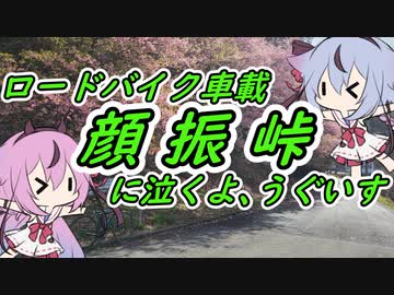【ロードバイク車載】顔振峠に泣くよ､うぐいす【鳴花ヒメ・ミコト】