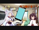 タコ姉さまはLineが苦手