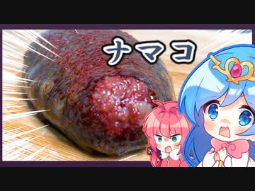 【料理】なまこを捌いて日本酒といただきます。【ゆっくり】