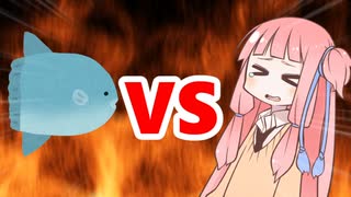 茜ちゃんVSマンボウ