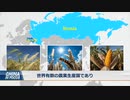 中国 食糧確保への危機感を示す