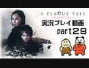 【実況】PS5版プレイグ テイル -イノセンス-をいい大人達が本気で遊んでみた。part29