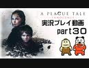 【実況】PS5版プレイグ テイル -イノセンス-をいい大人達が本気で遊んでみた。part30