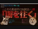 【喋る！にゃんこ劇場・怖そうで怖くない怖い話】　#9『闇を往く』