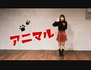 【栞】アニマル【踊ってみた】