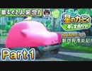 【楽しく2人実況!】▼縦横無尽の新世界漂流記▼星のカービィ ディスカバリー【Part1】