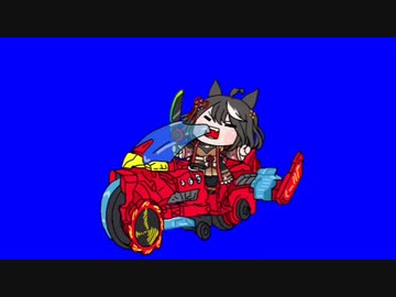 ドンキタちゃんBB【たぬき(ウマ娘)】