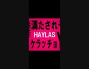 HEYLAS REMIX - 番犬,Ryan,菊禅,nqrse