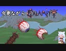 【テラリア】今更ながらCalamity#2