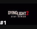 #1 おとすけのDying Light 2【おとあにwave】