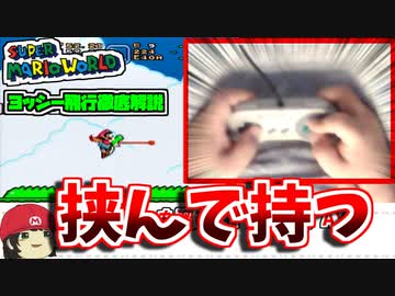 【ゆっくり解説】不正を疑われないためにヨッシー飛行の操作映像を出します【マリオワールド】