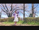 【桜の下で】ミュージックミュージック【 踊ってみた】