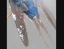 【神コラボ】春夏秋冬
